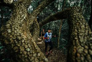 BIB: 
                            <button type="button" onclick="openModal(25701336)" class="btn btn-primary btn-sm float-right btn-popup" data-toggle="modal" data-target=".modal-high-quality">
                        <i class="fas fa-shopping-cart"></i> Add to Cart
                    </button>
                                            <button type="button" onclick="isThisMe(25701336, true)" class="btn btn-success btn-sm float-right btn-popup btn-isme hidden" data-toggle="tooltip" data-placement="bottom" title="นี่คือรูปของคุณใช่ไหม คลิกที่นี่เพื่อเอาเข้าอัลบั้ม">
                        <i class="fas fa-plus"></i> Add to album
                    </button>
                    <button type="button" onclick="isThisMe(25701336, false)" class="btn btn-warning btn-sm float-right btn-popup btn-isnotme hidden">
                        <i class="fas fa-ban"></i> Remove from album
                    </button>